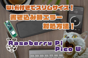 【Arduino】Raspberry Pi Pico W が書き込めなくなった？Arduino IDEでの対処法！