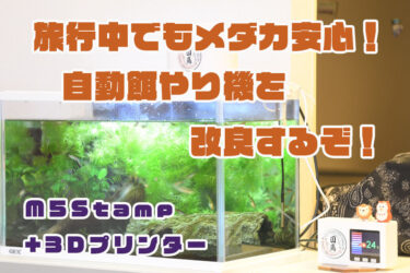 【Arduino】M5Stamp で メダカの住む環境を快適に！第３弾　餌やり機をもっと便利に改良！